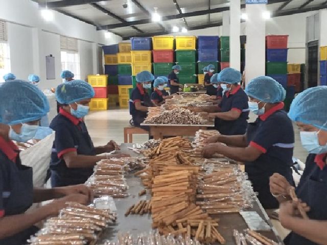 Dimath-Cinnamon-Factory-3
